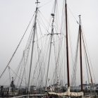 lp_mg_8739