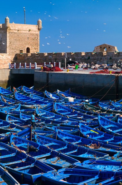 Essaouira - peche