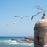 Essaouira - vue mer