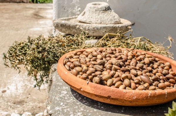 Maroc - huile d argan