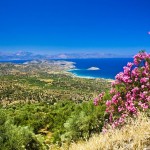 Crete avec fleurs