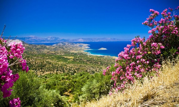 Crete avec fleurs