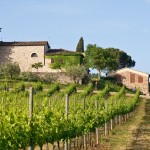 typical landscape in Italian region Tuscany